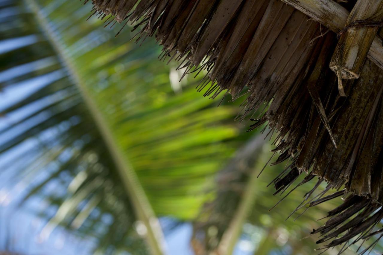 The Mida Creek Hotel Watamu Exterior foto